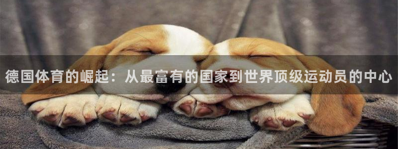 必一运动：德国体育的崛起：从最富有的国家到世界顶级运动员的中心